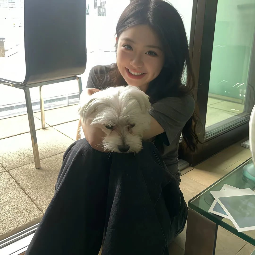 鲅鱼恋上猫