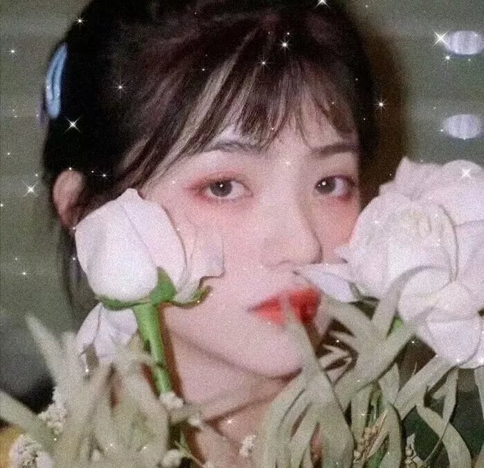 行尸之惧第四季
